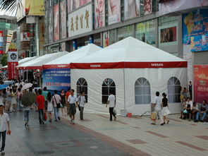 欧式篷房 美观实用的多功能办公解决方案